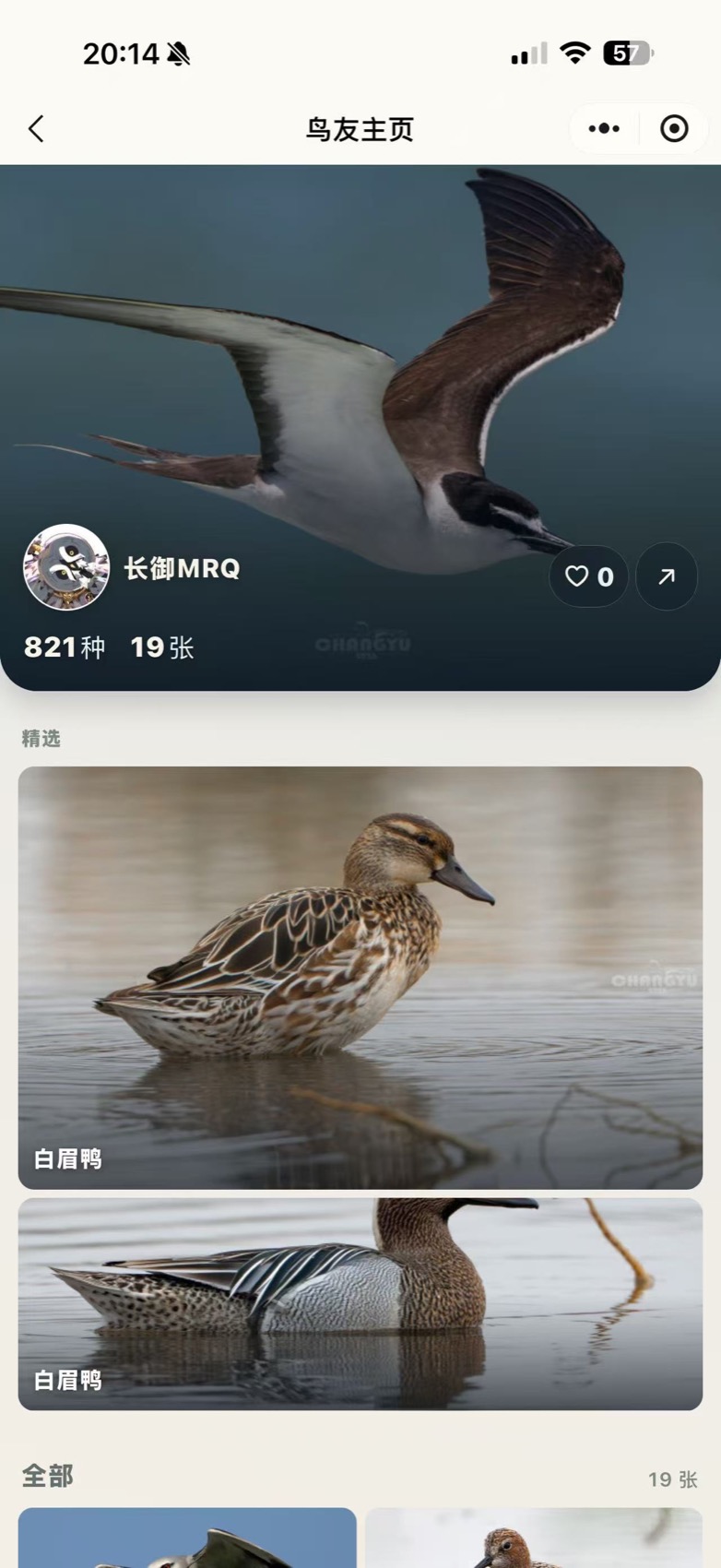 长御MRQ 的寻羽鸟友主页